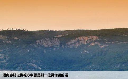 酒肉穿肠过佛祖心中留是那一位高僧说的话