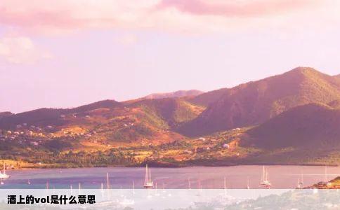 酒上的vol是什么意思