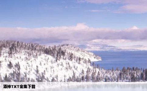 酒神TXT全集下载