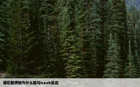 酒石酸钾钠为什么能与naoh反应