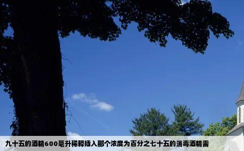 九十五的酒精600毫升稀释插入那个浓度为百分之七十五的消毒酒精需