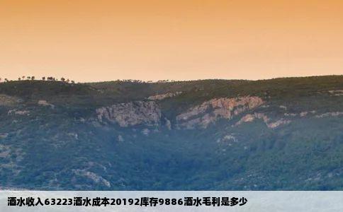 酒水收入63223酒水成本20192库存9886酒水毛利是多少