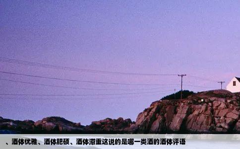 、酒体优雅、酒体肥硕、酒体滞重这说的是哪一类酒的酒体评语