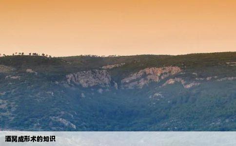 酒窝成形术的知识