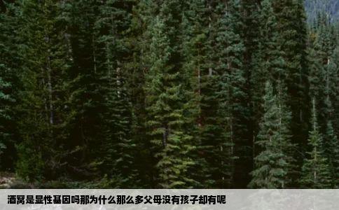 酒窝是显性基因吗那为什么那么多父母没有孩子却有呢