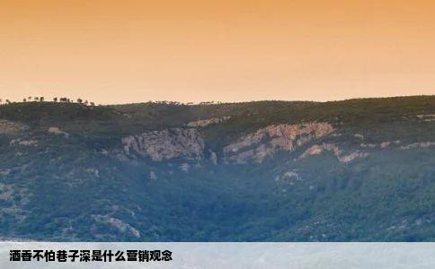 酒香不怕巷子深是什么营销观念