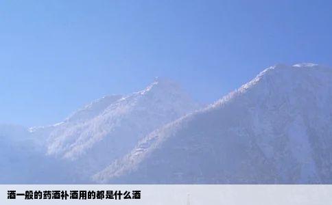 酒一般的药酒补酒用的都是什么酒