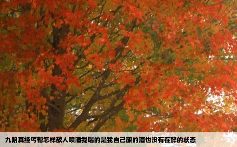 九阴真经丐帮怎样敌人喷酒我喝的是我自己酿的酒也没有在醉的状态