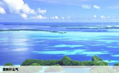 酒有什么气
