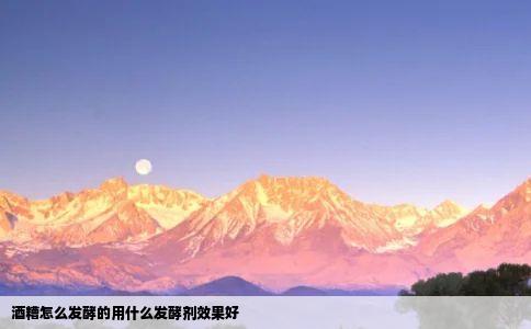 酒糟怎么发酵的用什么发酵剂效果好