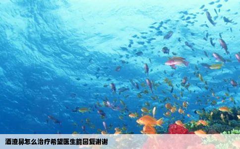 酒渣鼻怎么治疗希望医生能回复谢谢