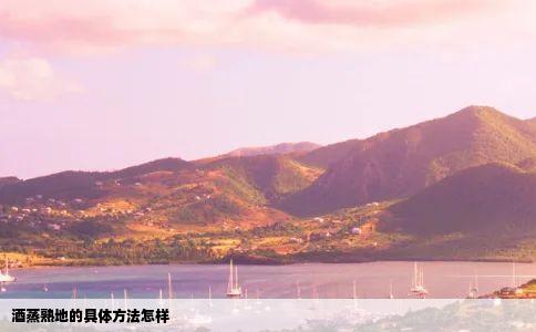 酒蒸熟地的具体方法怎样