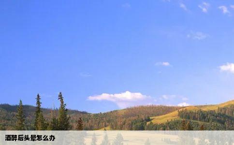 酒醉后头晕怎么办
