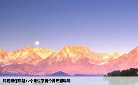 鸡尾酒保质期12个月过来两个月还能喝吗