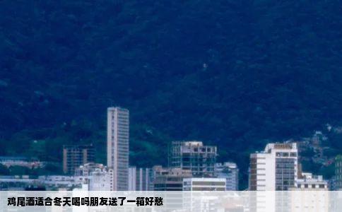 鸡尾酒适合冬天喝吗朋友送了一箱好愁