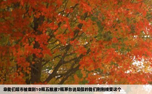 急我们超市被查到10瓶五粮液7瓶茅台说是假的我们刚刚接受这个