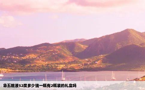 急五粮液52度多少钱一瓶有2瓶装的礼盒吗
