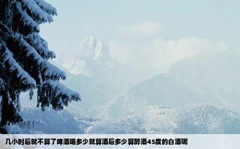 几小时后就不算了啤酒喝多少就算酒后多少算醉酒45度的白酒呢
