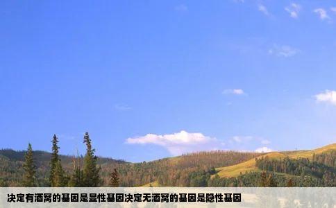 决定有酒窝的基因是显性基因决定无酒窝的基因是隐性基因