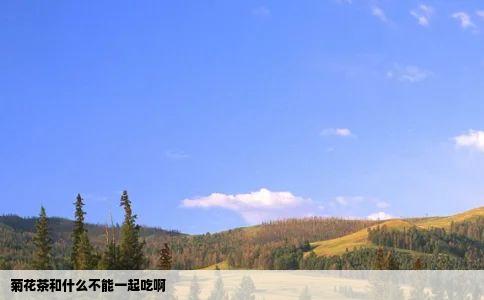 菊花茶和什么不能一起吃啊