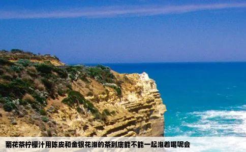 菊花茶柠檬汁用陈皮和金银花泡的茶到底能不能一起泡着喝呢会