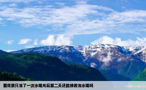 菊花茶只泡了一次水喝光后第二天还能接着泡水喝吗