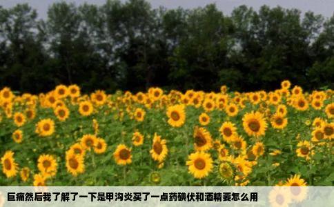 巨痛然后我了解了一下是甲沟炎买了一点药碘伏和酒精要怎么用