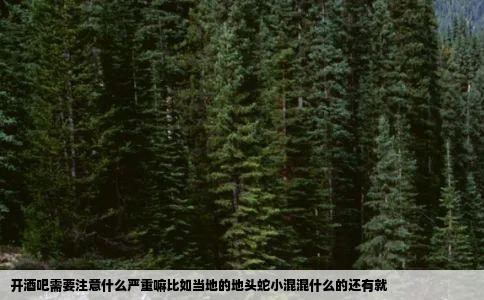 开酒吧需要注意什么严重嘛比如当地的地头蛇小混混什么的还有就