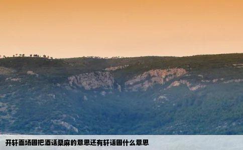 开轩面场圃把酒话桑麻的意思还有轩话圃什么意思