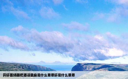 开轩面场圃把酒话桑麻是什么意思轩是什么意思