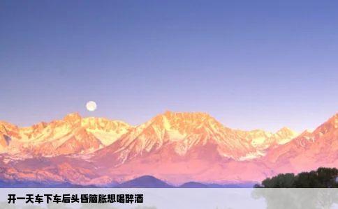 开一天车下车后头昏脑胀想喝醉酒
