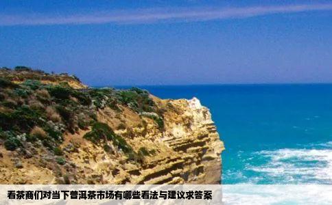 看茶商们对当下普洱茶市场有哪些看法与建议求答案