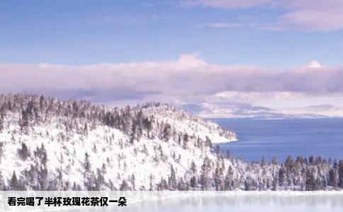 看完喝了半杯玫瑰花茶仅一朵