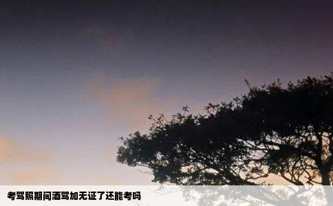 考驾照期间酒驾加无证了还能考吗