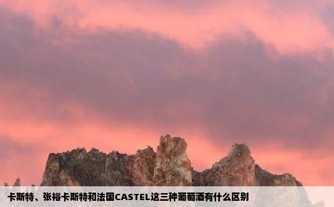 卡斯特张裕卡斯特和法国CASTEL这三种葡萄酒有什么区别