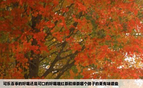 可乐百事的好喝还是可口的好喝哦红茶和绿茶哪个牌子的更有味道些