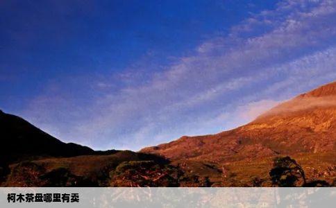 柯木茶盘哪里有卖
