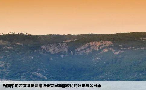 柯南中的苦艾酒是莎朗也是克里斯那莎朗的死是怎么回事