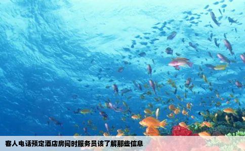 客人电话预定酒店房间时服务员该了解那些信息