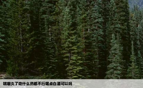 咳嗽久了吃什么药都不行喝点白酒可以吗