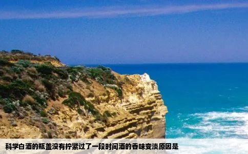 科学白酒的瓶盖没有拧紧过了一段时间酒的香味变淡原因是