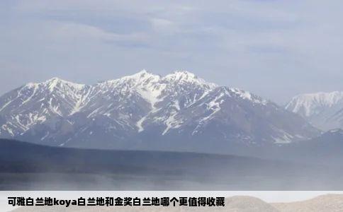 可雅白兰地koya白兰地和金奖白兰地哪个更值得收藏