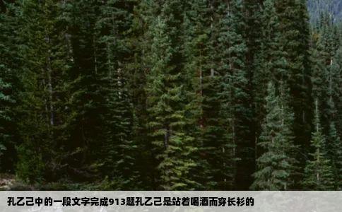 孔乙己中的一段文字完成913题孔乙己是站着喝酒而穿长衫的