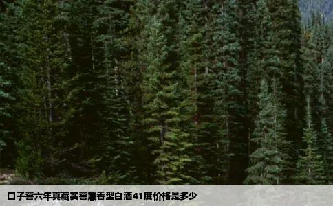 口子窖六年真藏实窖兼香型白酒41度价格是多少
