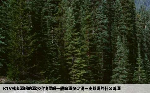 KTV或者酒吧的酒水价钱贵吗一般啤酒多少钱一支都喝的什么啤酒
