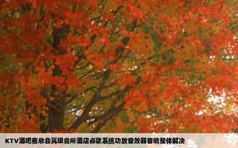 KTV酒吧夜总会高级会所酒店点歌系统功放音效器音响整体解决