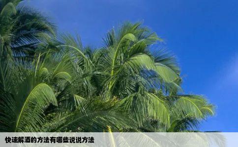 快速解酒的方法有哪些说说方法