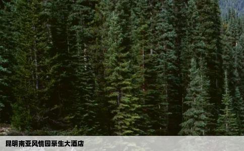 昆明南亚风情园豪生大酒店