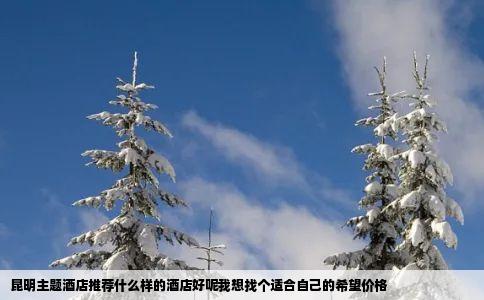 昆明主题酒店推荐什么样的酒店好呢我想找个适合自己的希望价格
