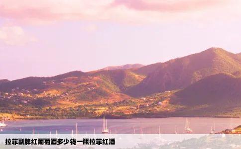 拉菲副牌红葡萄酒多少钱一瓶拉菲红酒